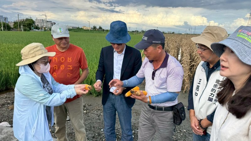 圖：劉建國實地勘查口湖、水林蕃薯與硬質玉米等多處蔬菜與瓜類農地受損情形後，要求農業部盡快公告天然災害救助／劉建國服務處提供