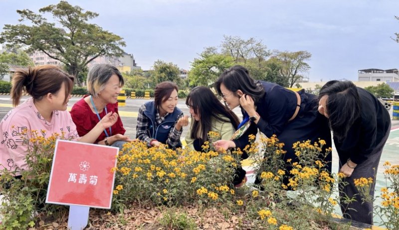 「還記得那株小苗嗎?」 植樹節前夕高雄區監理所邀民眾一同見證花開時刻 新聞圖片