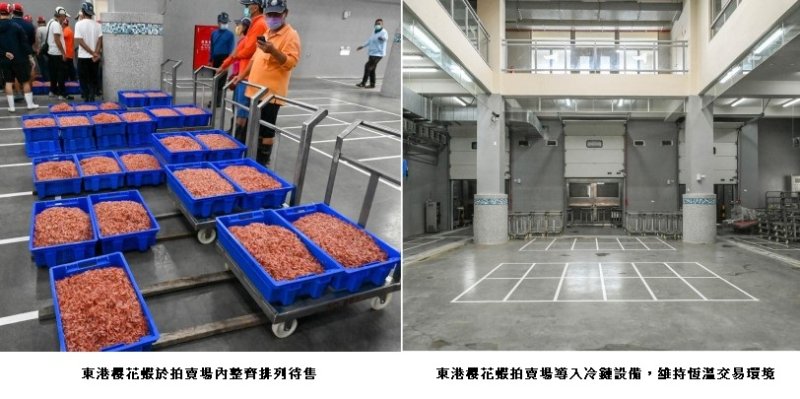 東港櫻花蝦拍賣場通過HACCP 系統驗證 打造現代化拍賣市場新標竿 新聞圖片