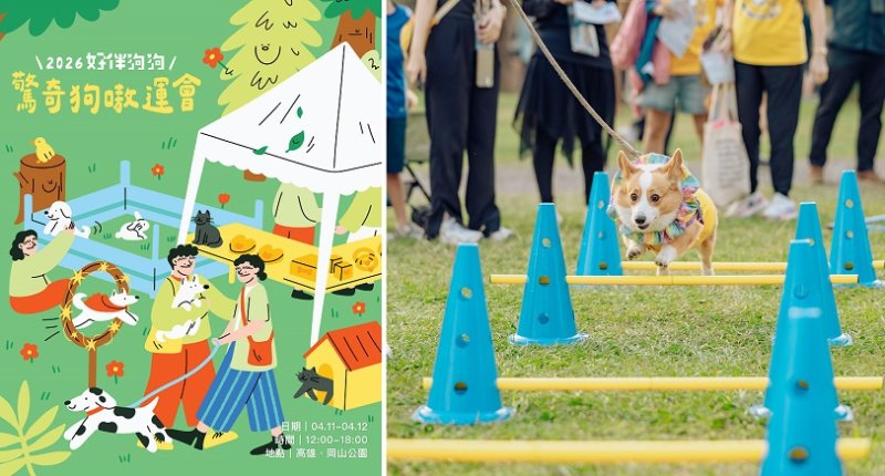 短腿低底盤極速大賽!高雄「好伴」萌寵趣味運動會 4/11-12岡山公園爆笑登場 新聞圖片