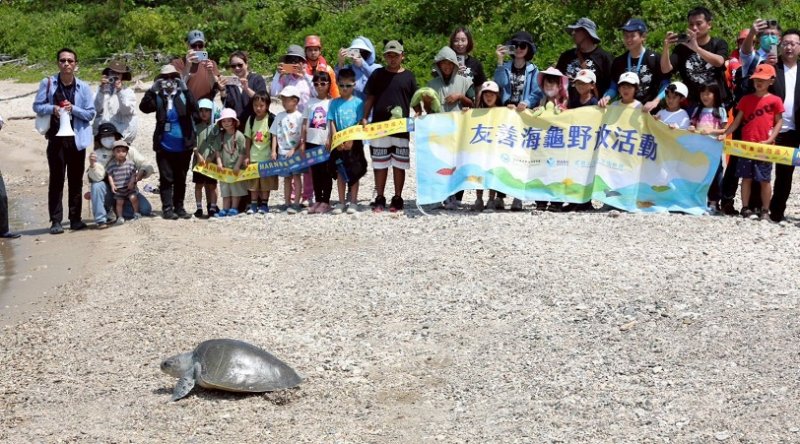 串聯118救援鏈 海龜重返大海!後灣野放見證MARN跨域救援成果 新聞圖片