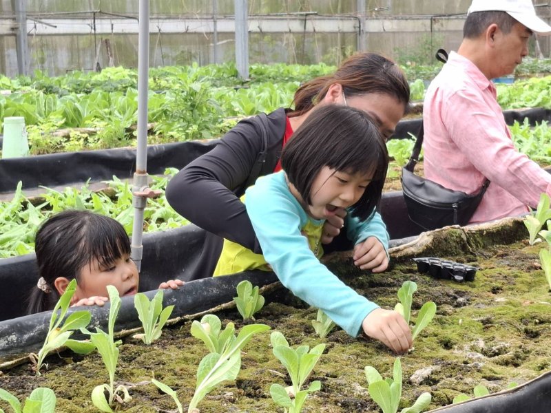 唱歌唱到農場去! 小港戶所帶新住民解鎖高雄生活新玩法 新聞圖片
