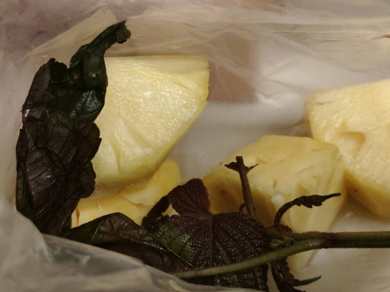 紫菜不是日本壽司專用 葉子包肉包水果很搭 新聞圖片