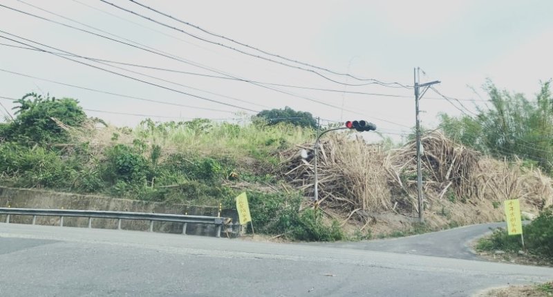 新聞圖片