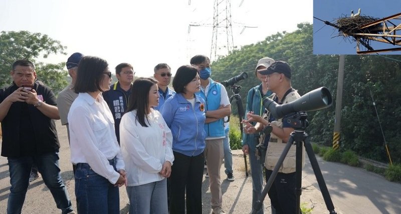 首度記錄瀕危東方白鸛在台野外繁殖 濁水溪從揚塵河川到蛻變生態廊道