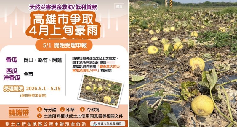4月上旬豪雨致災 洋香瓜、西瓜及香瓜農損救助5/1起受理
