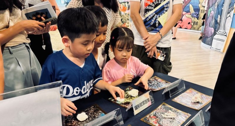 今夏親子共學首選 「珊瑚小學堂」帶你走進東北角海底世界 體驗珊瑚復育的奧秘