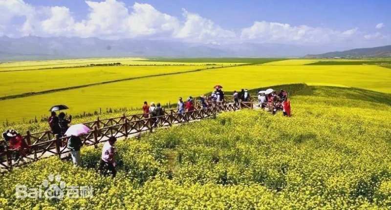大陸暑期文旅消費季登場 將辦逾3萬場活動、補助逾新台幣21億元