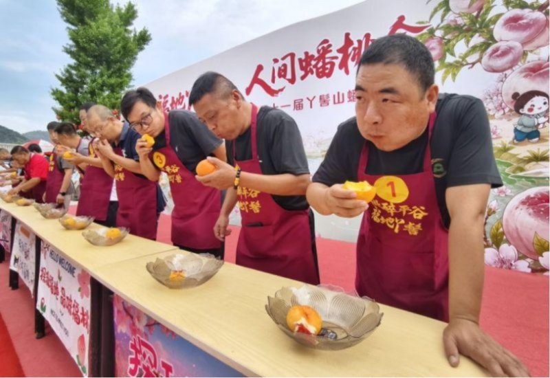 北京平谷鮮桃季登場 「甜桃王」擂台賽、吃桃大賽吸睛