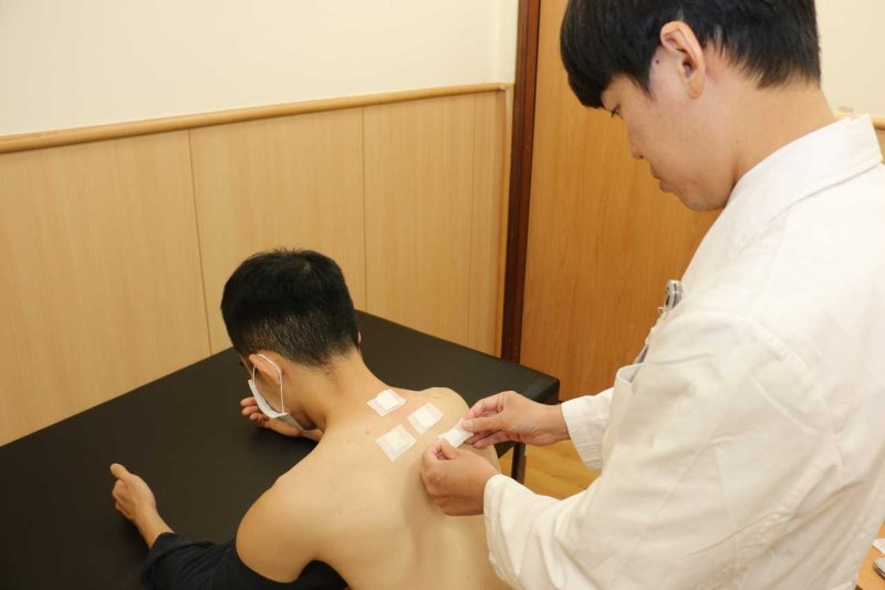 當背俞穴遇上交感神經鏈:三伏貼臟腑調理的科學密碼