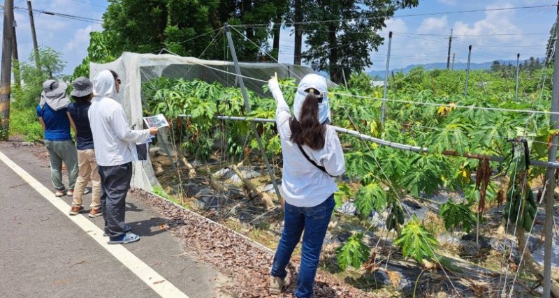 高雄市爭取美濃區、杉林區巴威颱風水平棚架網室塑膠布（網）農損救助 自即日起受理申報