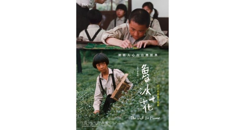 《魯冰花》數位修復版重返大銀幕  桃園客家文學巨擘鍾肇政經典再現