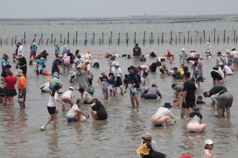 台南七股海鮮節熱鬧登場