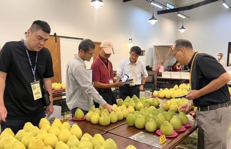 臺南文旦大賽揭曉甜度最高15度
