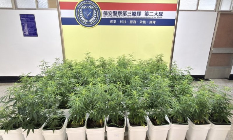 1株變67株!保三總隊瓦解「高科技扦插分身術」大麻工廠,斷絕黑市千萬毒源