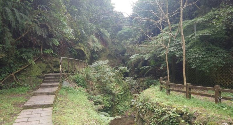 秋高氣爽親溪遊 漫步悠遊豹山溪