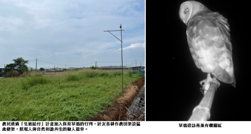 專吃「鼠條」的「蘋果臉」進駐燕巢有機園區上班了!