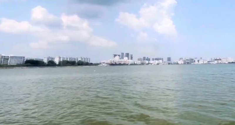 AI生成「水庫有鱷魚」假圖引恐慌  新加坡男子遭控兩罪
