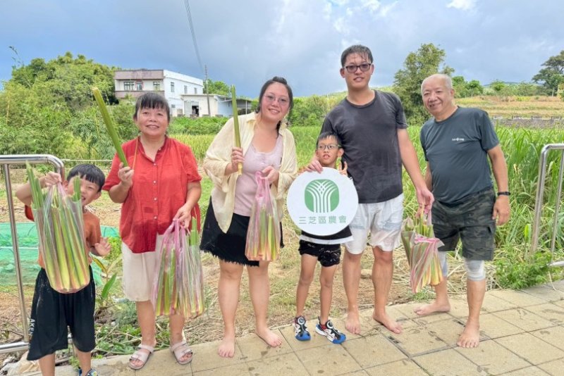 三芝區農會茭白筍小旅行10月登場 結合藝術與客家風味