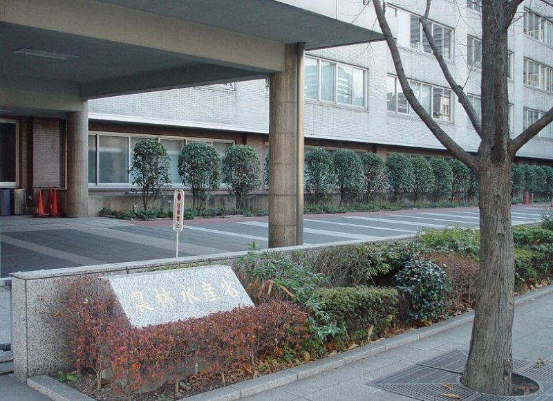 日本豬瘟疫情今年累計8起　約2萬頭豬遭處置