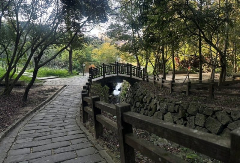 秋意漸濃 漫遊豹山溪整治區