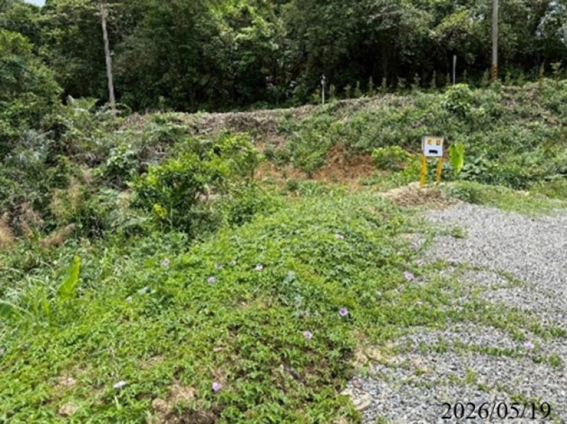 台南白河水庫保護區開發頻傳違規市府已裁罰追蹤改善